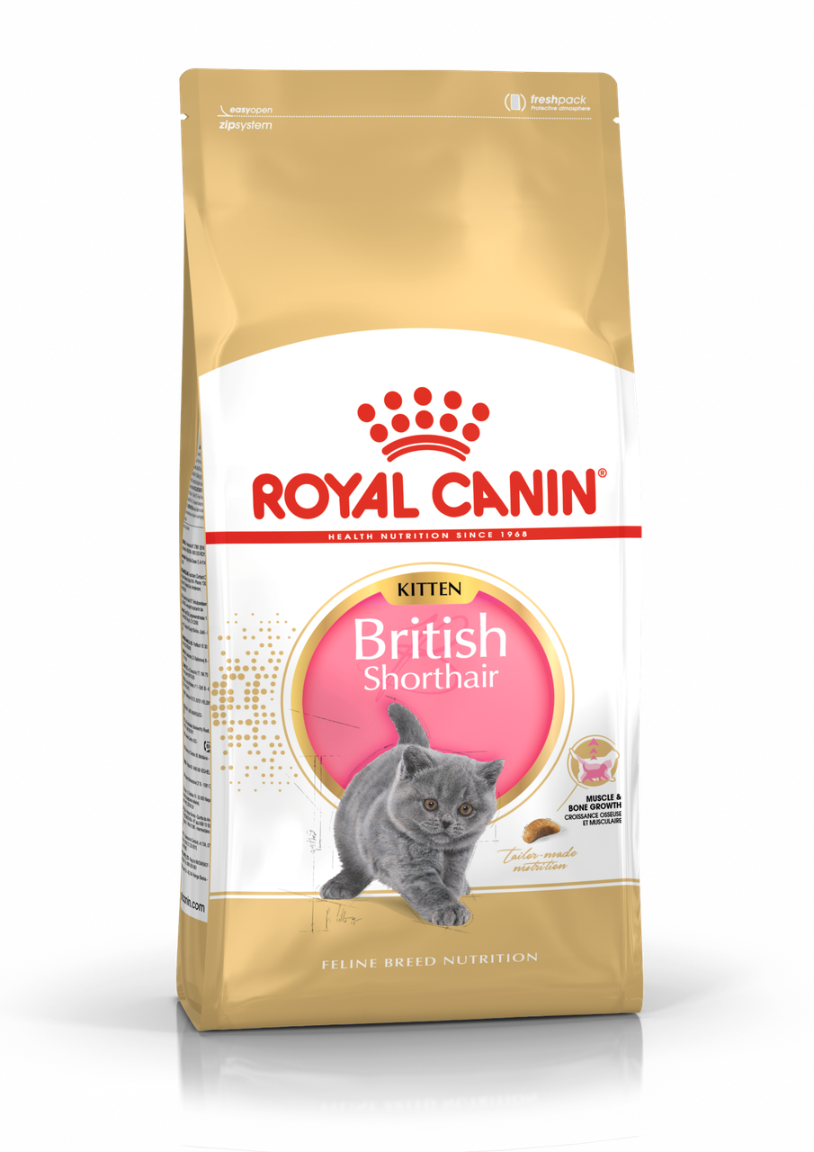 Royal Canin British Shorthair Kitten сухой корм для котят британской короткошерстной породы, 0,4кг (Россия) - фото 1 - id-p224027271