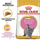 Корм сухой Royal Canin British Shorthair Kitten  для котят британской короткошерстной породы, 400гр., фото 2