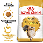 Сухой корм Royal Canin Siberian Adult  для взрослых сибирских кошек старше 12 месяцев 400гр., фото 2