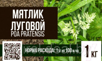Семена газонной травы БЕРКУТ Мятлик луговой - фото 3 - id-p224032981