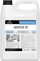 Средство для мытья стекол Pro-Brite Winter 30 554-5