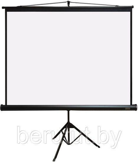 Проекционный экран на штативе PL Magna TRM-AV-60 "81 дюйм" - фото 1 - id-p224071535