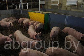 Кормовые аппараты ящичного типа для свиней всех возрастных групп, фото 3