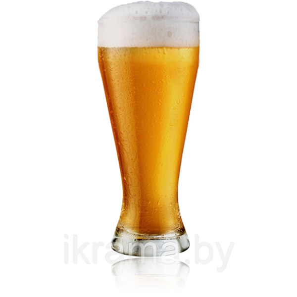 Солод пивоваренный пшеничный светлый 40 кг - фото 2 - id-p198263381