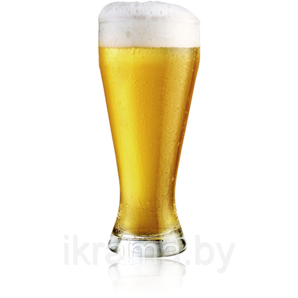 Солод пивоваренный ячменный светлый 40 кг - фото 2 - id-p198263383