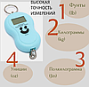 Портативные электронные весы (Безмен) Portable Electronic Scale до 30 кг Голубые, фото 6