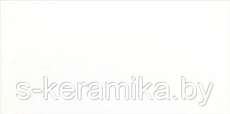 КЕРАМИЧЕСКАЯ ПЛИТКА EURO CERAMICA БЕЛЫЙ ГЛЯНЕЦ 27х40 ЕВРО КЕРАМИКА 9BL0005TG