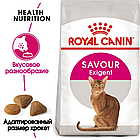 Сухой корм Royal Canin Savour Exigent  для привередливых к вкусу продукта кошек 400гр., фото 2