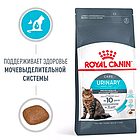 Корм сухой Royal Canin Urinary Care для кошек для профилактики мочекаменной болезни 400гр., фото 2