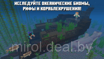 Игра для игровой консоли Nintendo Switch Minecraft / 45496420628 - фото 5 - id-p224112044