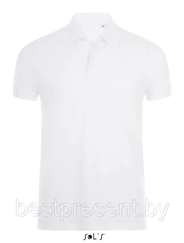 Джемпер (рубашка-поло) PHOENIX мужская - фото 1 - id-p224123045