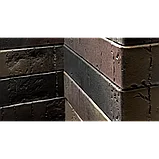 Кирпич облицовочный BRAER (Браер) PRO 28.09, фото 4
