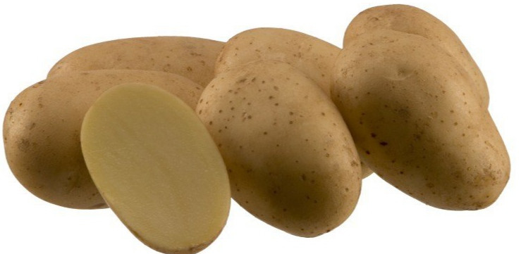 Картофель семенной сорта Аризона - фото 2 - id-p224136485