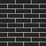 Кирпич облицовочный BRAER (Браер) PRO 40.02, фото 5