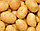 Картофель семенной сорта Бриз, фото 2