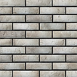 Кирпич облицовочный BRAER (Браер) PRO 72.03, фото 6