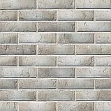 Кирпич облицовочный BRAER (Браер) PRO 72.03, фото 5