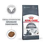 Сухой корм Royal Canin Dental Care для профилактики образования зубного камня у кошек 400гр., фото 2
