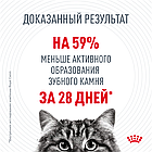 Сухой корм Royal Canin Dental Care для профилактики образования зубного камня у кошек 400гр., фото 3