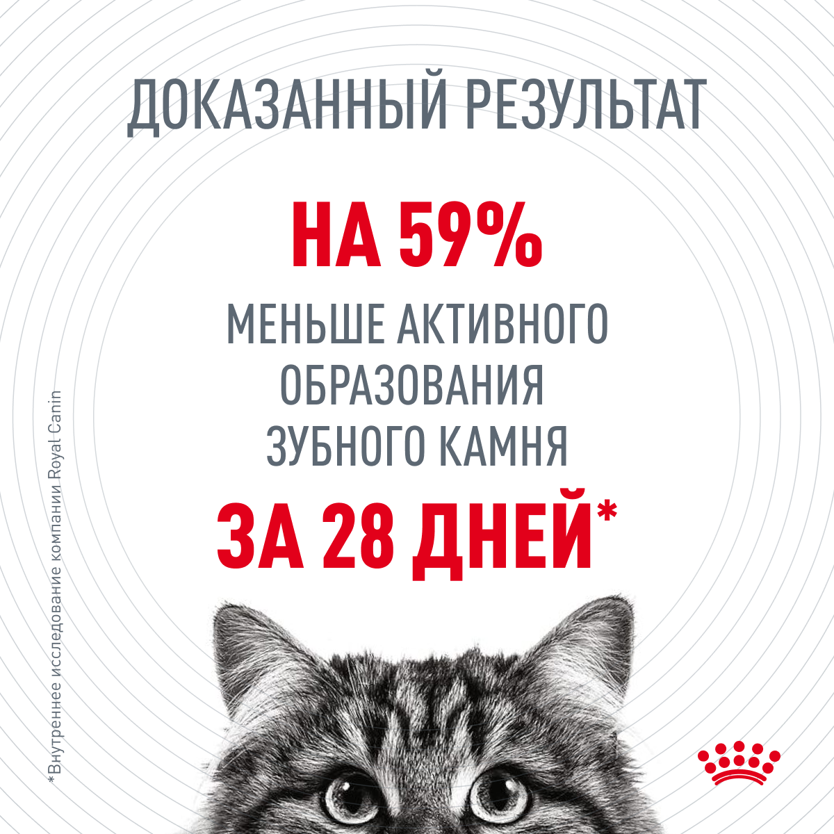 Royal Canin Dental Care сухой корм для кошек для профилактики образования зубного камня, 0,4кг (Россия) - фото 3 - id-p224140756