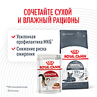 Сухой корм Royal Canin Dental Care для профилактики образования зубного камня у кошек 400гр., фото 4
