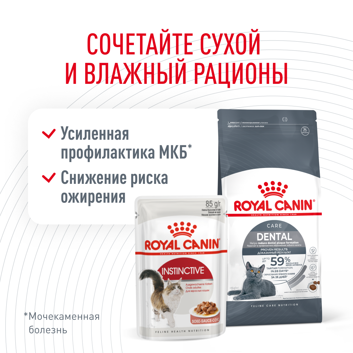 Royal Canin Dental Care сухой корм для кошек для профилактики образования зубного камня, 0,4кг (Россия) - фото 4 - id-p224140756