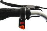 Электровелосипед GreenCamel Трайк-24 V2 (R24 250W 48V12Ah) 7 скор, фото 4