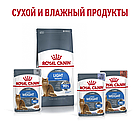 Сухой корм Royal Canin Light Weight Care для взрослых кошек склонных к полноте 400гр., фото 4