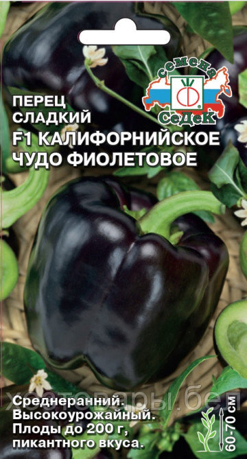 Перец Калифорнийское Чудо фиолетовое 0,1г (6-8мм) Ср (Седек)