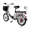 Электровелосипед GreenCamel Транк-18-60 (R18 350W 60V) Алюм, фото 3
