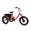 Электровелосипед GreenCamel Трайк-F20 (R20FAT 500W 48V12Ah) 7скор, фото 2