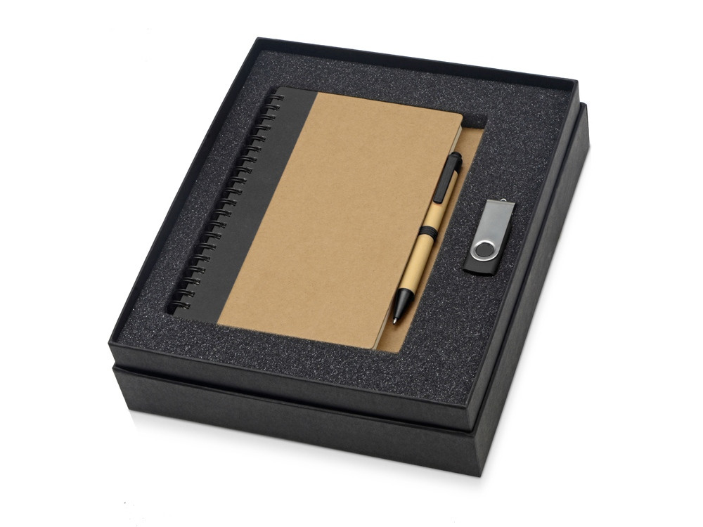 Подарочный набор Essentials с флешкой и блокнотом А5 с ручкой, черный - фото 1 - id-p224145004