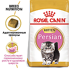 Корм сухой Royal Canin Persian Kitten для персидских котят (в возрасте до 12 месяцев) 400гр., фото 2