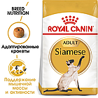 Сухой корм Royal Canin Siamese Adult  для сиамских кошек старше 12 месяцев 400гр., фото 2