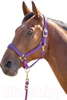 Недоуздок для лошади Shires Topaz FULL 387/PURPLE/FULL