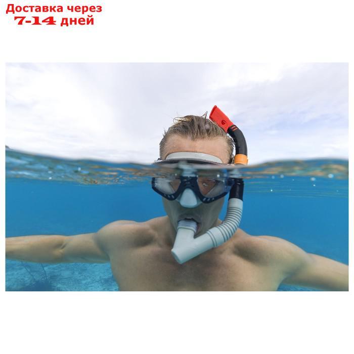 Набор для плавания Meridian, для взрослых, маска, ласты, трубка, от 14 лет, размер 41-46, цвет МИКС, 25020 - фото 4 - id-p224145985
