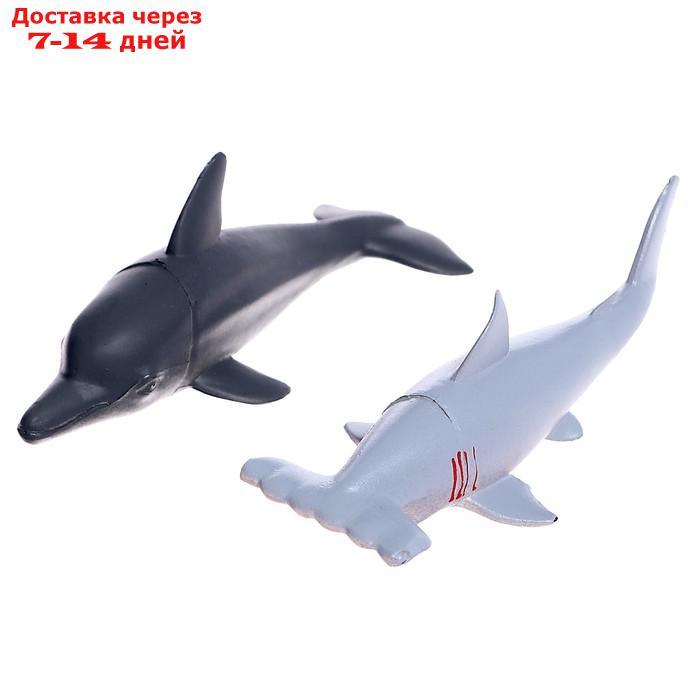 Набор морских животных "Подводный мир", 6 фигурок - фото 4 - id-p224146151