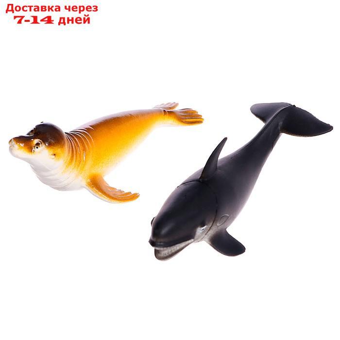 Набор морских животных "Подводный мир", 6 фигурок - фото 5 - id-p224146151