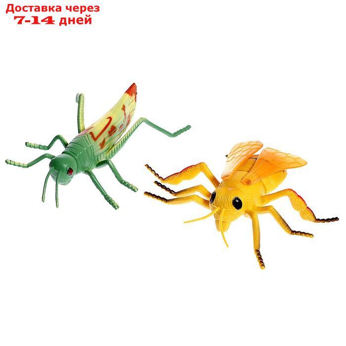 Набор насекомых "Жучки", 16 фигурок - фото 6 - id-p224146152