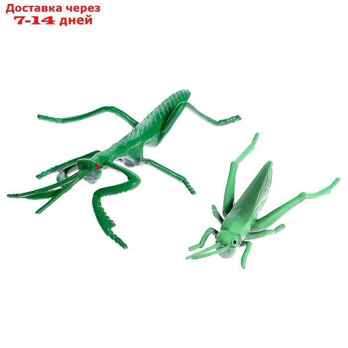 Набор насекомых "Жучки", 16 фигурок - фото 7 - id-p224146152
