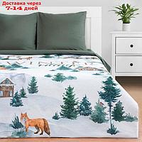 КПБ "Этель" Евро Winter village 200*217 см, 220*240 см, 70*70 см - 2 шт, бязь 125гр/м2