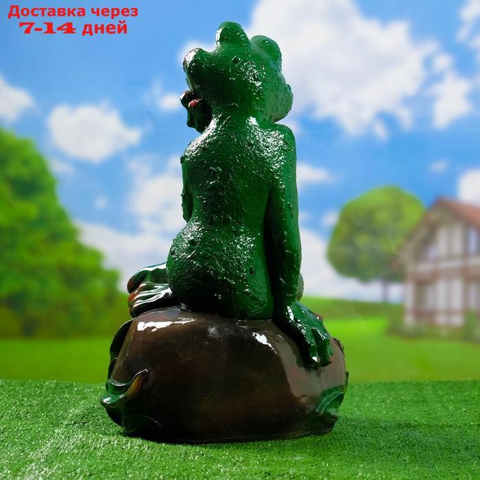 Садовая фигура "Лягушка на камне большая" - фото 3 - id-p224148547