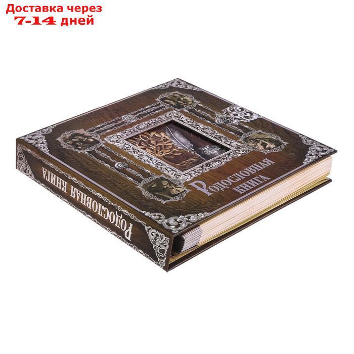 Родословная книга с рамкой под фото "Родословная книга", под дерево, 50 листов, 21,5 х 23,7 см - фото 3 - id-p224150864