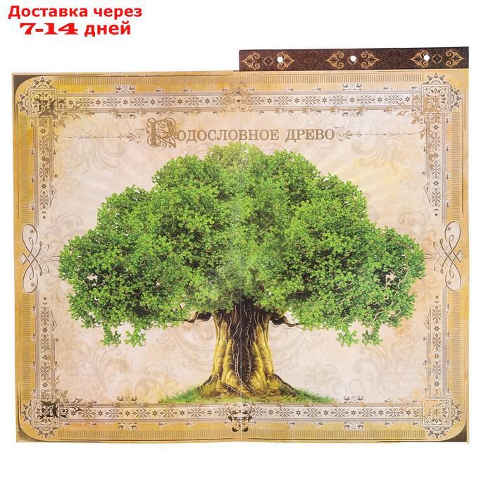 Родословная книга с рамкой под фото "Родословная книга", под дерево, 50 листов, 21,5 х 23,7 см - фото 4 - id-p224150864