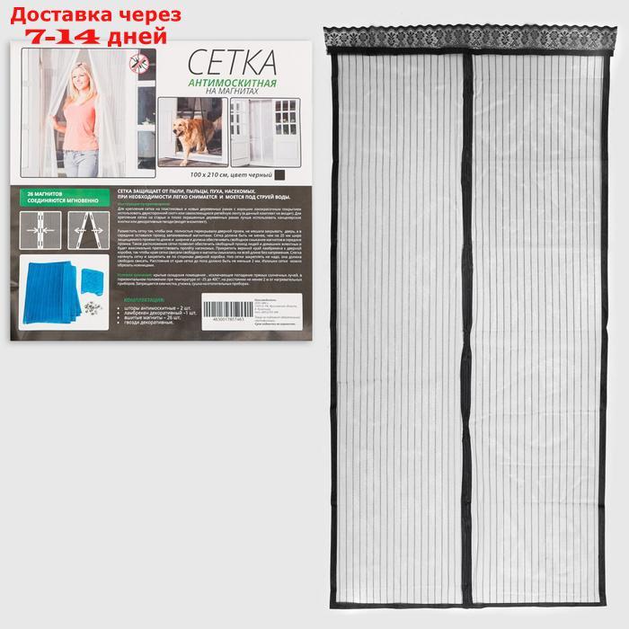 Сетка антимоскитная для дверей, 100 × 210 см, на магнитах, цвет черный - фото 1 - id-p224149600