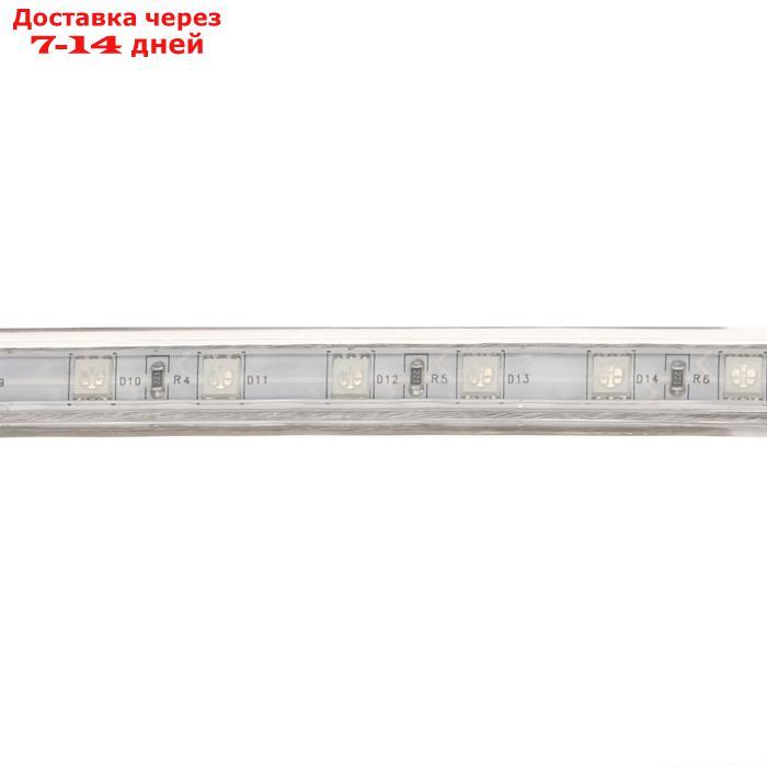 Светодиодная лента Ecola, 60 Led/м, 14.4 Вт, 220 В, IP68, 14х7 мм, 100 м, синий - фото 4 - id-p224147762