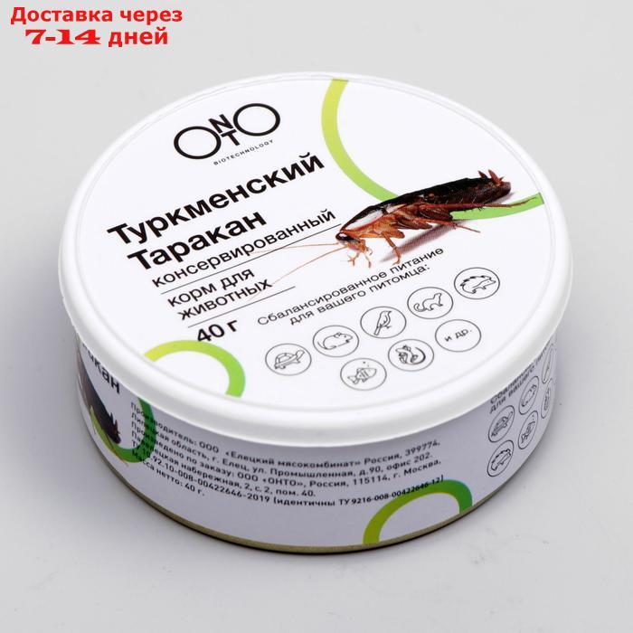 Консервированный корм ONTO для животных, туркменский таракан, 40 г - фото 1 - id-p224150392