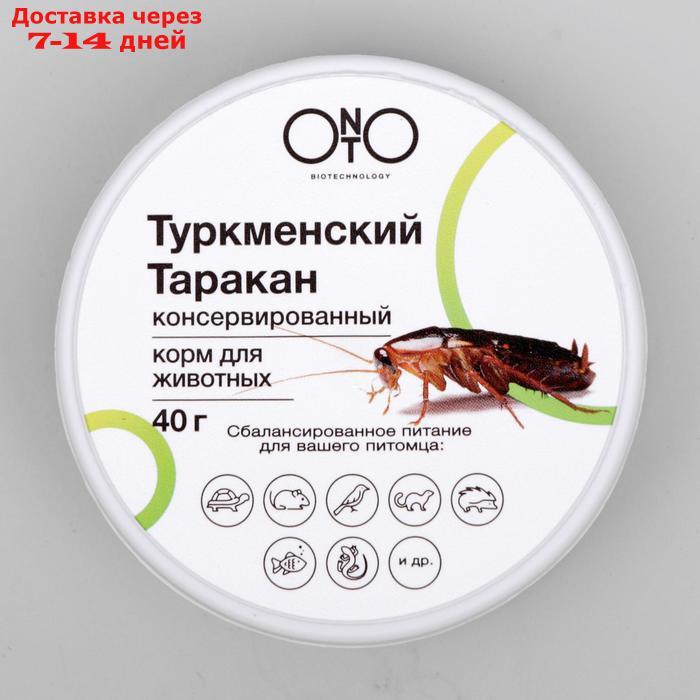 Консервированный корм ONTO для животных, туркменский таракан, 40 г - фото 2 - id-p224150392