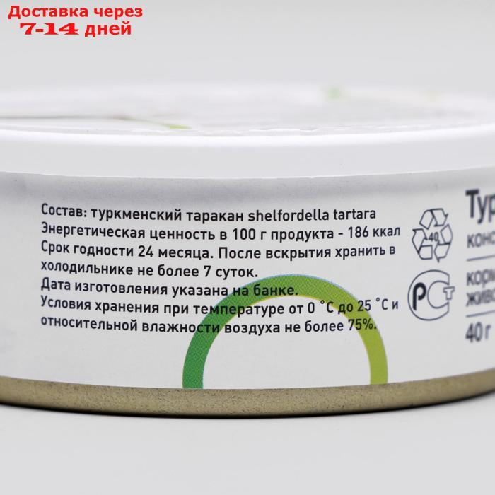 Консервированный корм ONTO для животных, туркменский таракан, 40 г - фото 3 - id-p224150392