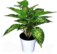 Искусственное растение ForGarden Диффенбахия GT-N715-842 в белом горшке / BN10855